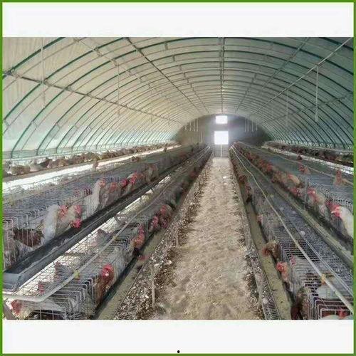 热点大棚爆料视频大全,揭秘农业科技前沿与产业变革 第2张 热点大棚爆料视频大全,揭秘农业科技前沿与产业变革 第2张